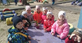Висадка квітів
